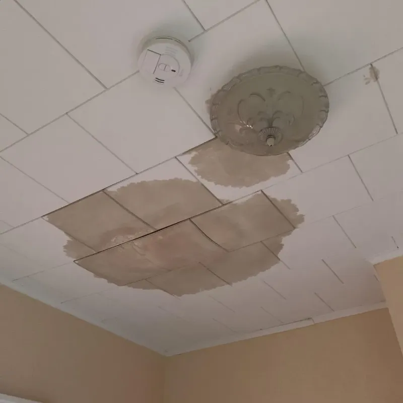 Ceiling Water Damage Repair in Hockley County, TX