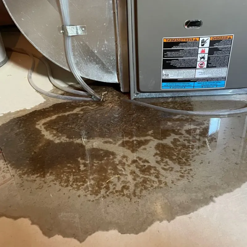 Pipe Burst and Leak Restoration in Hockley County, TX