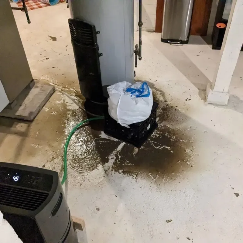 Sewage Backup Cleanup Service in Hockley County, TX